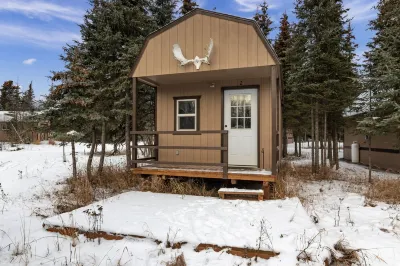 Pet Friendly Cabin in Kasilof Alaska