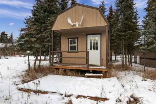 Pet Friendly Cabin in Kasilof Alaska