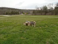 Dragonfly Creek Cabin