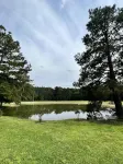 Beautiful Cabin in National Forest with Screened in Porch and Pond with Fountain