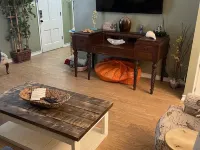 Coastal Blue. 2 minutes to Gulf of Mexico. Private backyard for BBQ/entertaining Hotels in Long Beach