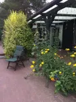 Reed House on the Beach of Lake Plau with Conservatory and Terrace