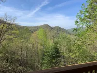 A Perfect View! Dog Friendly Cabin at The Top of The Mountain!