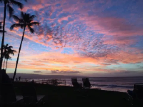 Maui! Whale Watching from Your Lanai—Beautiful Oceanfront Escape! No Resort Fee!
