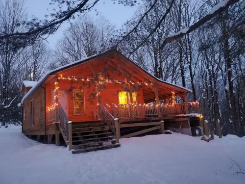 Newly built cabin in cozy wooded setting