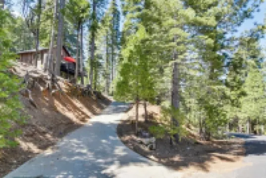 Cozy Cabin in the woods.