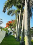 5br/4ba Luxury house w pool and beautiful backyard