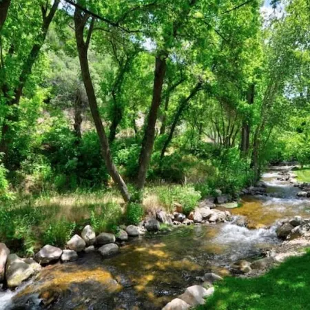 Beautiful Remodeled 5 Bedroom 3000 sq ft Cabin in the Iconic Vivian Park Area