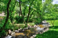 Beautiful Remodeled 5 Bedroom 3000 sq ft Cabin in the Iconic Vivian Park Area