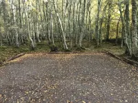 Rowan Cottage, CrannachCottages Hotels in Garve