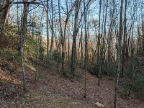 Deep Creek Hideaway Near the Smoky Mountain National Park