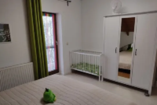 Cozy apartment in the beautiful Ore Mountains - apartment spring