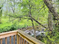 Back to Creek • Pool Table • Firepit • Grill