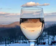 Amazing Mountain views - Ski In Ski Out - Wifi - fireplace - Pets OK