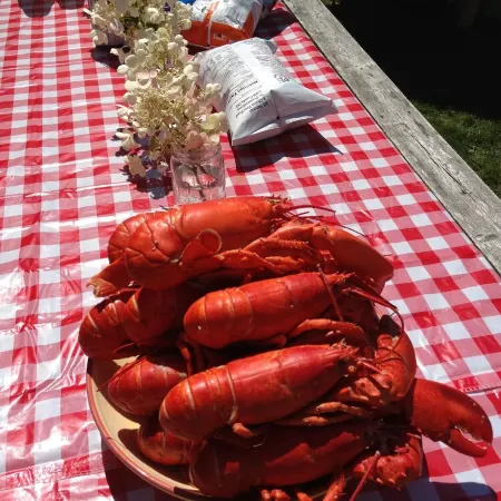 Newly renovated 3 bedroom, 2 bath bungalow, just steps to downtown BBH.