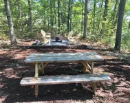 Serenity at The Shamrock Hotels in Basye