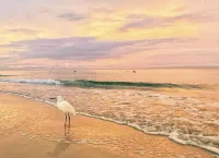 FIRST-CLASS "ALL INCLUSIVE" WATERFRONT DREAM