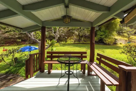 Panoramic Ocean View in Kona Cloud Forest