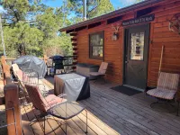 Swiss Drive Cabin  5 miles to Lake Pactola! Access ATV trails from the home!