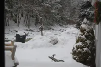 Two Bedroom Chalet, Charming, Quiet, River Front