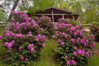 QUAINT MOUNTAIN COTTAGE-BREATH TAKING VIEWS-1.5 MILES TO DOWNTOWN WAYNESVILLE - 4-Star
