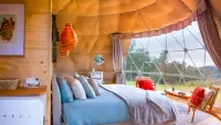Domescapes in the Vines - 3-Star