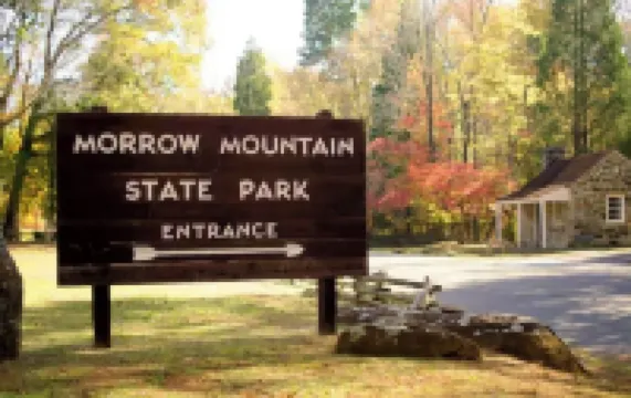 Charming Retro & Stylishly Updated Mid-Century Apartment Retreat Near Downtown