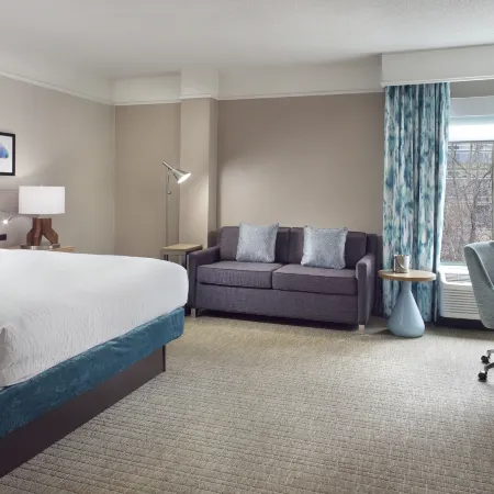 Hilton Garden Inn Atlanta-Buckhead