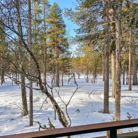 Siulapalkinen b 8