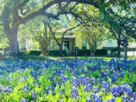 Historic 1904 Home w/Granite Kitchen, Fireplace, Treehouse! Near ATX/San Antonio Hotels in Kyle