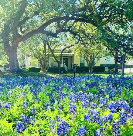 Historic 1904 Home w/Granite Kitchen, Fireplace, Treehouse! Near ATX/San Antonio Отели в г. Кайл