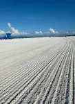 Beautiful beach house with heated pool, 1 mile to Siesta Key Beach