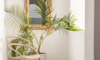 Galazia Boutique Apartments