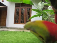 Kalindu Residence Hotels in Tangalle