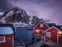 Svinøya Rorbuer Hotele w: Vagan