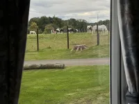 West Lawn 47 Haggerston Castle Paddock Views Hoteles en Berwick-upon-Tweed