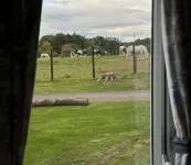 West Lawn 47 Haggerston Castle Paddock Views - Homestays