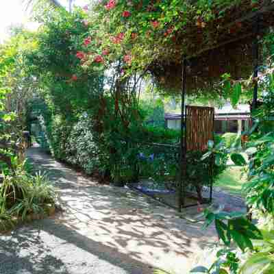 The Chalet Hotel Exterior