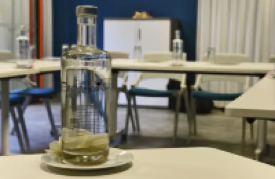 Dina Morgabine Saint Gilles