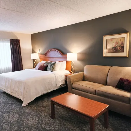 Centerstone Plaza Hotel Soldiers Field - Mayo Clinic Area