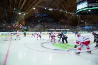 スペングラー イン