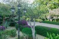 Pedregal Suites - Marina and Downtown Hotels in 