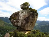 산나 알루겔 에코노미코