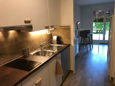 Large Studio Near Epfl and Lausanne City Center