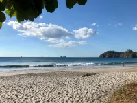 Spectacular - Spacious Unit in Flamingo in Front of the Beach - Beach