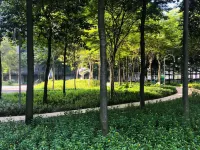 高級套房Icon City