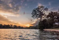 Tranquil Lakefront Retreat: 1BR Cabin with Covered Patio & Private Dock