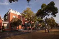 Little Drifter North Melbourne