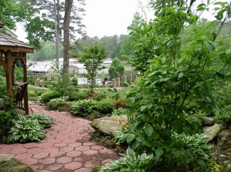 LUXURY LAKEFRONT HOME W/SWIMMING POOL & BOAT RENTALS