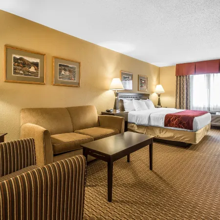 Comfort Suites Wisconsin Dells Area